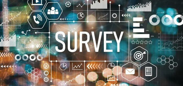 investment, AI Survey