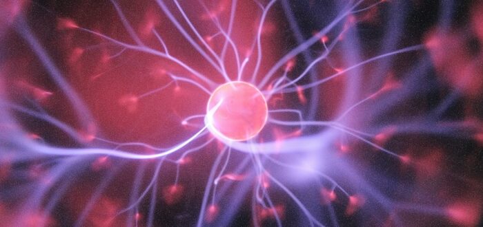 science, neuroscience